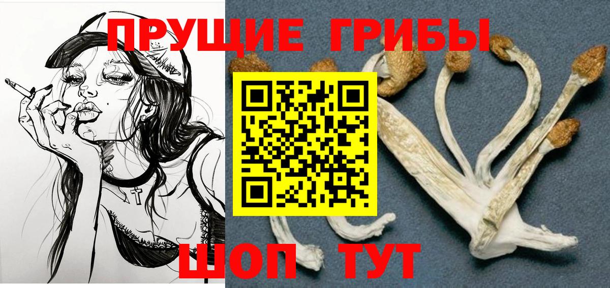Псилоцибиновые грибы мухоморы  хочу   Тулун  Вход с VPN 