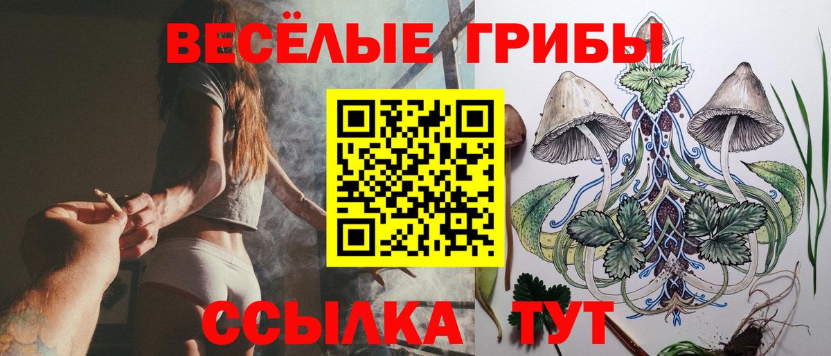 Псилоцибиновые грибы ЛСД Тулун